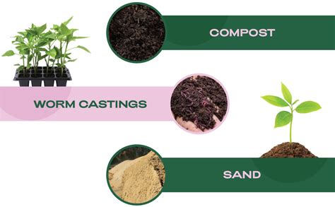 Seedling Seed Starter Soil Mix Peat Free Organic Potting