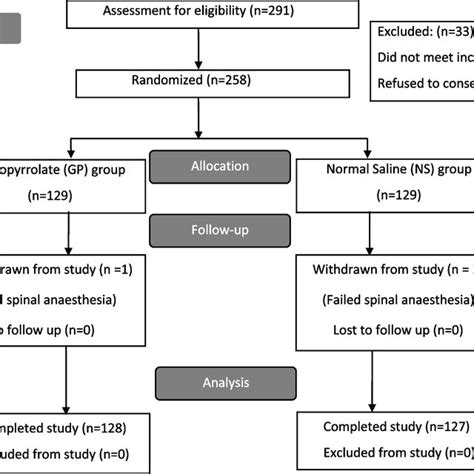 Patient Enrollment Randomization And Analysis Download Scientific Diagram