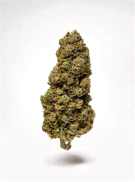 Double Rainbow Weedpedia Coupons And Reviews