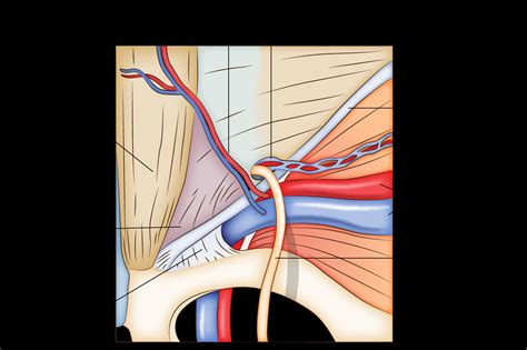 Ebook Cirug A General Enam By Qxmedic Issuu