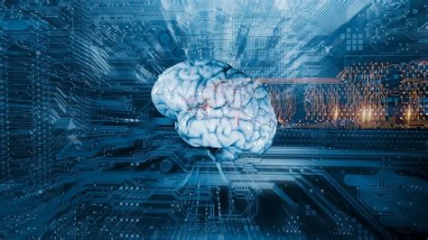 Más Cráneo Pero Menos Cerebro Por La Tecnología Así Serían Los