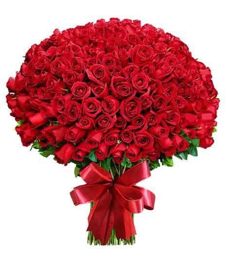 Descubra Kuva Prix Roses Rouge Thptnganamst Edu Vn