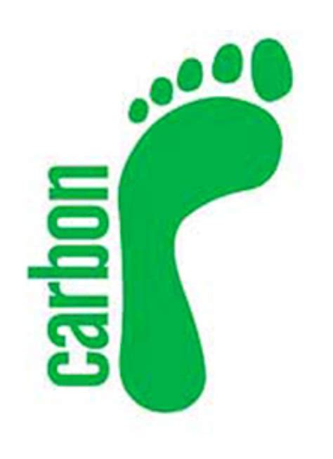 Carbon Footprint Training Life Cycle Initiative