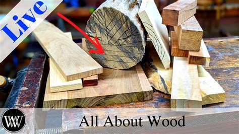 Everything You Need To Know About Wood Mostly YouTube