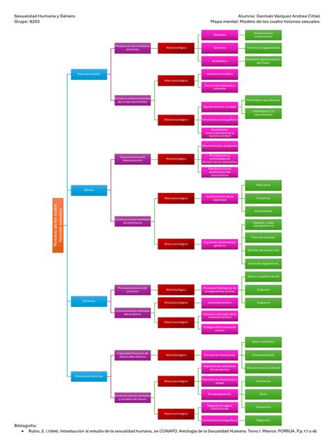 Mapa Conceptual Teoría De Los Cuatro Holones Sexuales Sexualidad Y Género Pdf La