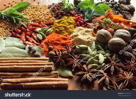 Herbs Spices Selection Aromatic Ingredients Natural Stock Photo