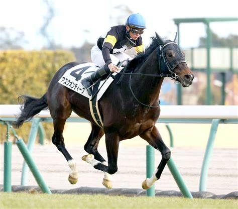 【中京6r・3歳新馬】アスクオンディープが逃げ切る 岩田望来騎手「乗り難しいけど能力は出せた」 Umatoku 馬トク