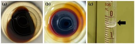 Promising Anti Wrinkle Applications Of Aromatic Extracts Of Hedychium