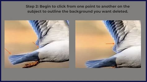 How To Remove Background In Gimp Image Background Removed Using Gimp