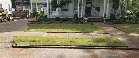 Sod Installation Huntsville Owens Cross Roads Madison Al Five