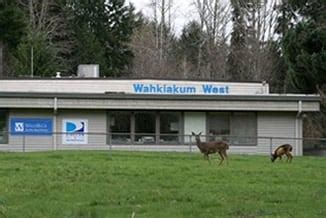 WAHKIAKUM WEST INTERNET - Updated May 2024 - 19 Miller Point Rd ...