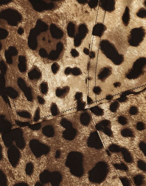 Leopard Print Charmeuse Bodysuit In Animal Print For Dolceandgabbana® Us