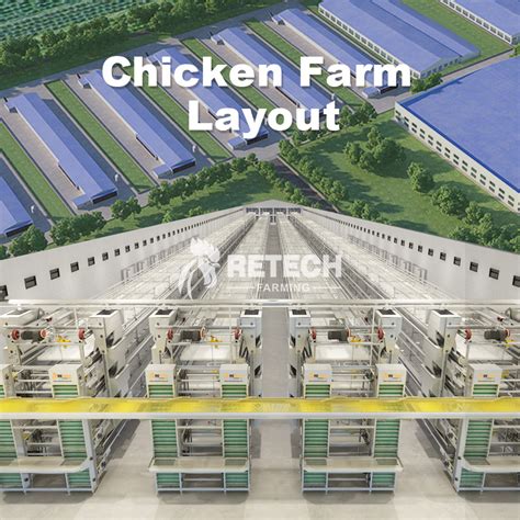 China 2022 China New Design Egg Chicken Cage RETECH Automatic H Type