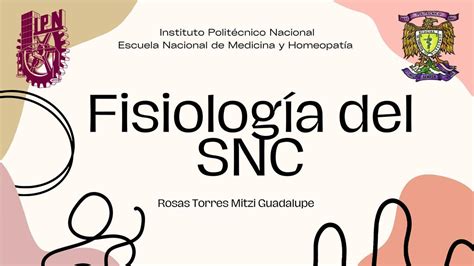 Fisiolog A Del Snc S Nchez Castillo Eunice Udocz