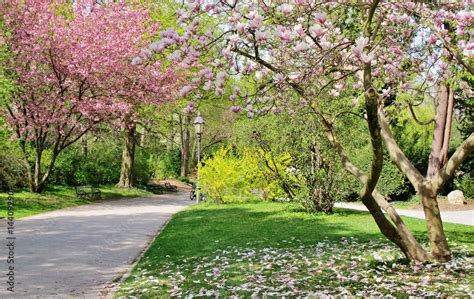 W Rzburg Ringpark Stock Foto Adobe Stock