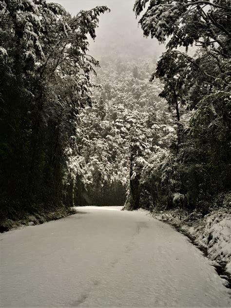 Snowed in Deep - Deep Cove - NZ Hikes