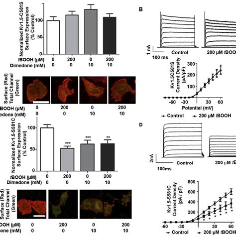 Increase In Global Sulfenic Acid Modification In Human Heart Tissue