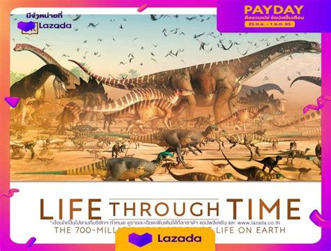 (New) Life Through Time: The 700-Million-Year Story of Life on Earth ...