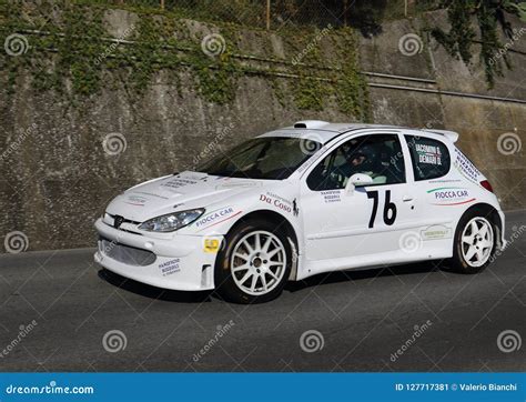 Voiture De Course De Rallye De Peugeot 206 Pendant La Course Photo