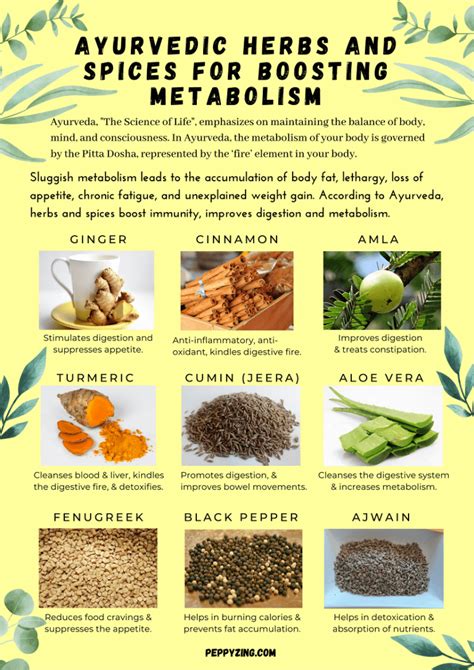 10 Ayurvedic Herbs And Spices For Boosting Metabolism