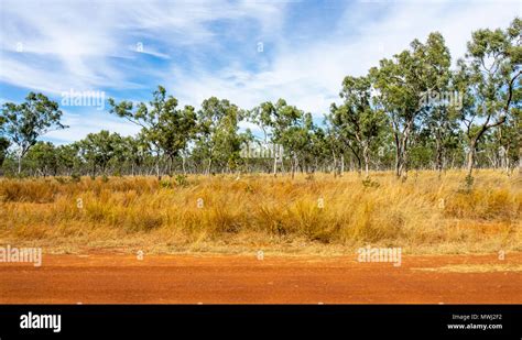 Savanna Woodland High Resolution Stock Photography and Images - Alamy