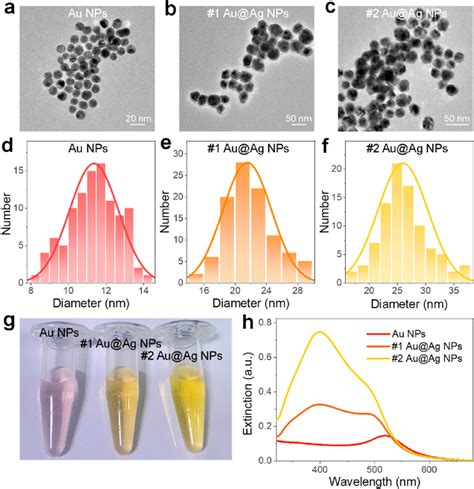 Morphology And Optical Properties Of The Au Nps And Auag Nps A C