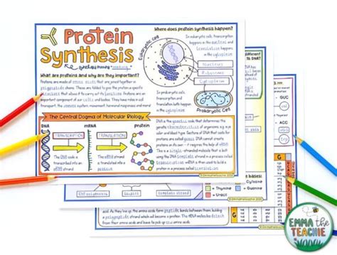 How To Teach Protein Synthesis Emmatheteachie