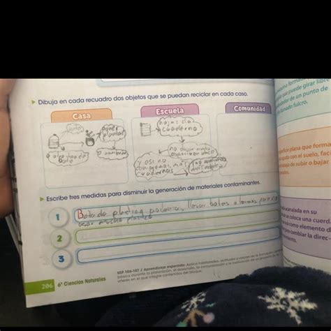 Me Divierto Y Aprendo 6 Grado Página 206 Brainly Lat