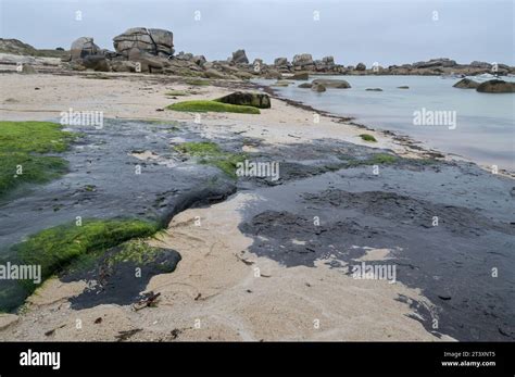 France Brittany Plage De Menehem Effects Of Oil Tanker Amoco Cadiz