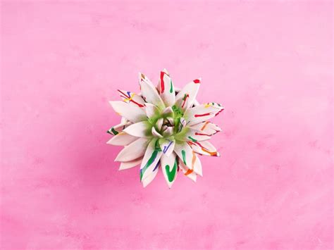 Premium Photo Colorful Painted Succulent On Pink Textured Background