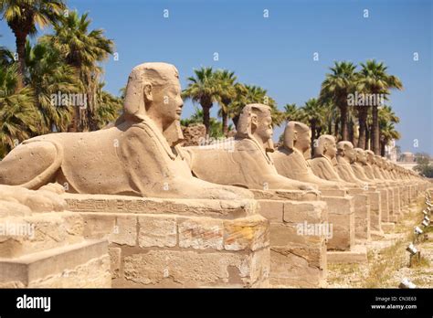 Avenue Of Sphinxes In Luxor Temple Luxor Egypt Stock Photo Alamy