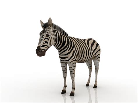 Zebra 3d Model Download Free 3d Models