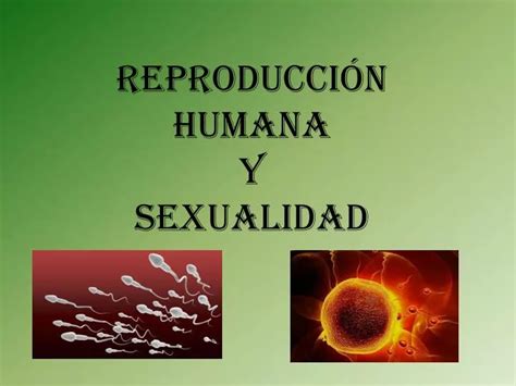 PPT REPRODUCCIÓN HUMANA Y SEXUALIDAD PowerPoint Presentation free