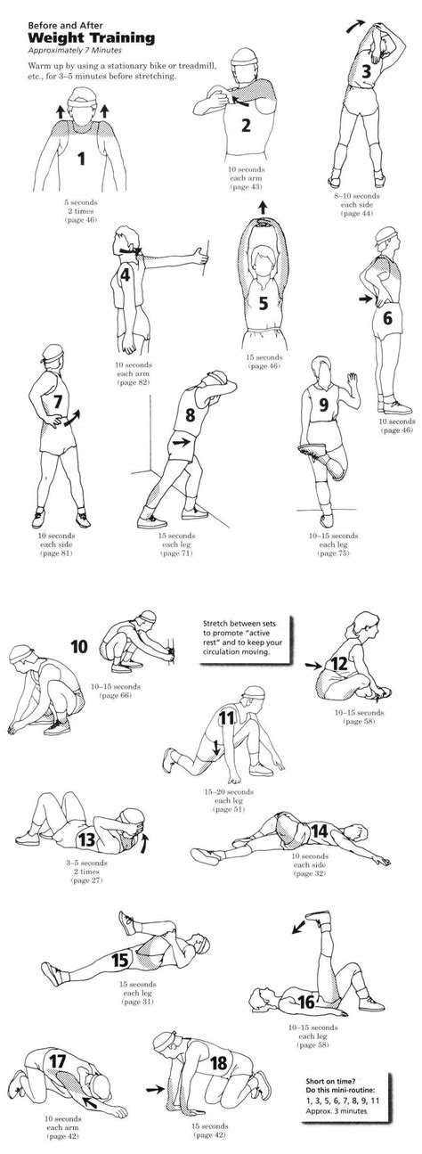 Printable Stretching Exercises