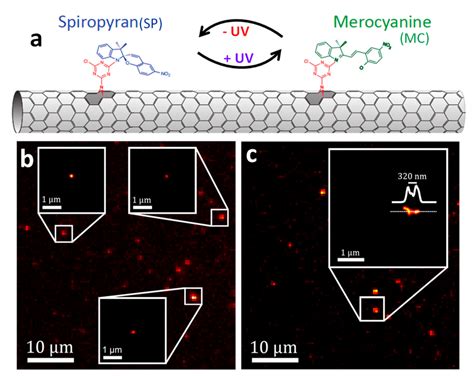 A Schematic Illustration Of A Photoswitchable Hybrid Nanomaterial