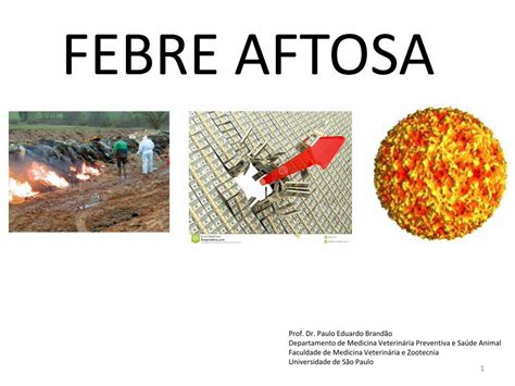 PDF FEBRE AFTOSA edisciplinas usp br presenÇa de doenÇa