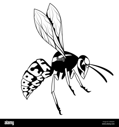 Wasp Vector Illustration Of A Sketch Hornet Or Bee Dangerous Striped