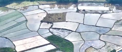 又是一年好“丰”景 从数据和地图中感受收获的喜悦新闻频道央视网