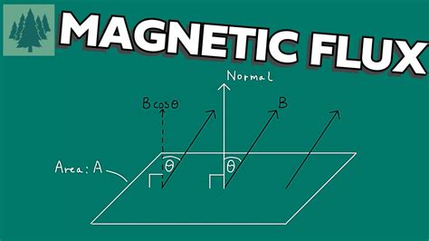 Electromagnetic Induction Magnetic Flux Linkage A Level Physics Youtube