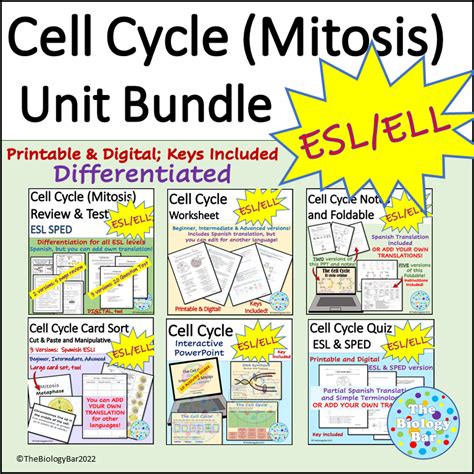 ESL Biology Cell Cycle Unit Bundle Made By Teachers