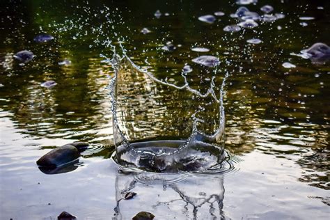 Banco de imagens agua reflexão recursos hídricos árvore líquido