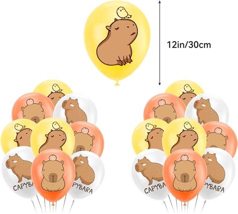 Capybara Birthday Party Supplies Capybara Party Decorations Includes