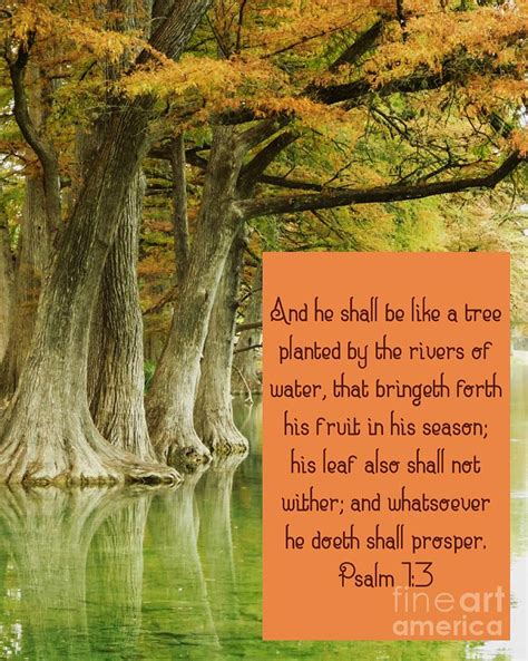 Creation By God Tree Planted By The Rivers Of Water Photograph By