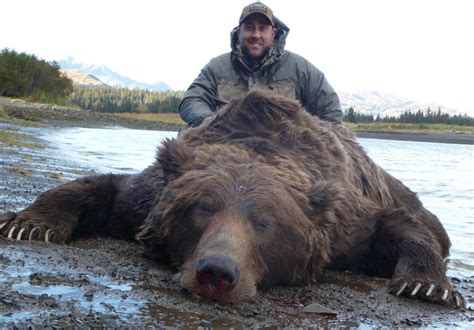 Alaskan Kodiak Brown Bear Hunts And Tours Alaskan Adventures