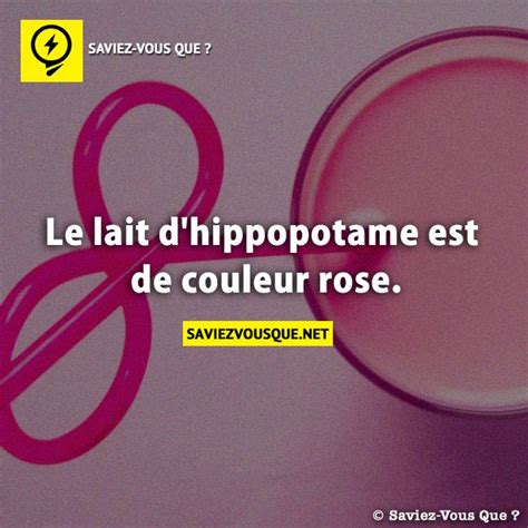 Le Lait Dhippopotame Est De Couleur Rose Saviez Vous Que