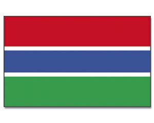 Flagge Gambia Kaufen G Nstig Flaggen Bestellen Promex Shop