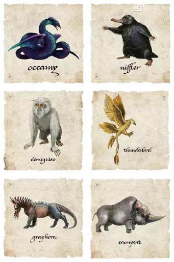 Fantastic Beasts Harry Potter Beasts Fantastic Beasts Creatures