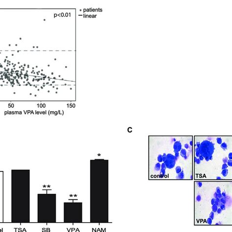 Kdaci Treatment Differentially Modulates Megakaryocyte Development A