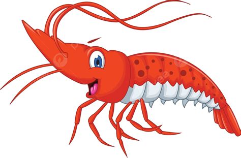 Cute Shrimp Cartoon Claw Red Vector Vector Cute Clipart Cartoon