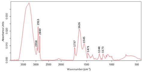 Biology Free Full Text Highly Efficient Use Of Infrared Spectroscopy Atr Ftir To Identify